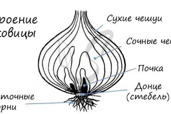 Блэкспрут закрыта